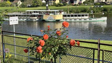 Ferienwohnung für 2 Personen in Stadt Wehlen, Wehlen, Bild 3