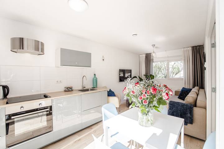 Ferienhaus für 4 Personen, mit Terrasse in Zandvoort - 2