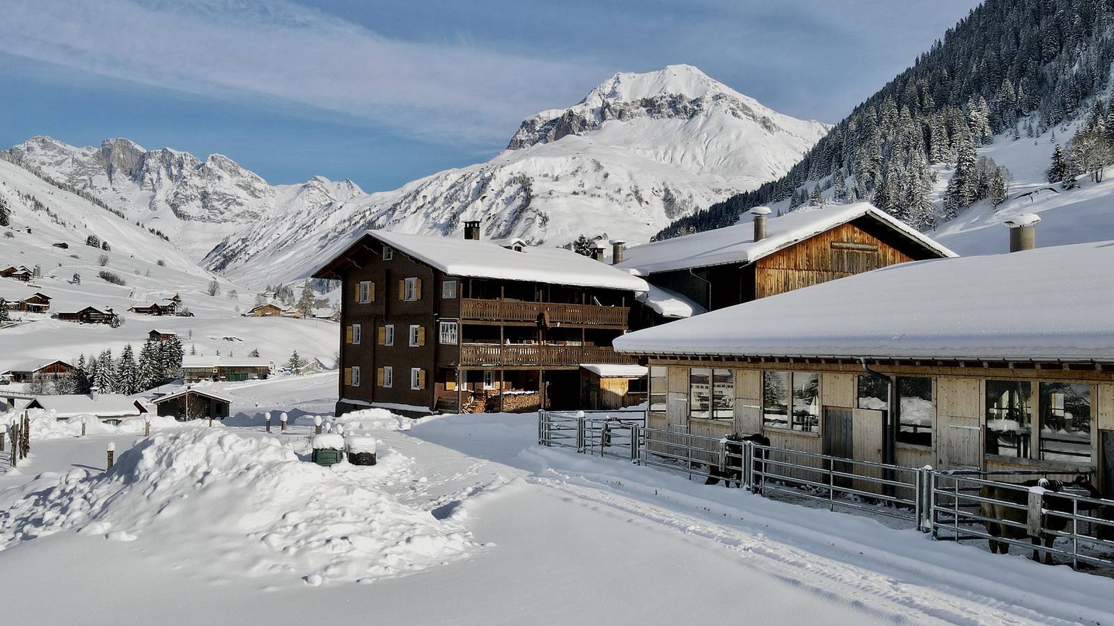Ganze Ferienwohnung, Ferienwohnung Gürgetschhof - 4.5-Zimmerwohnung für 5 Personen, 67qm in Rätikon Gebirgsgruppe, St. Antönien