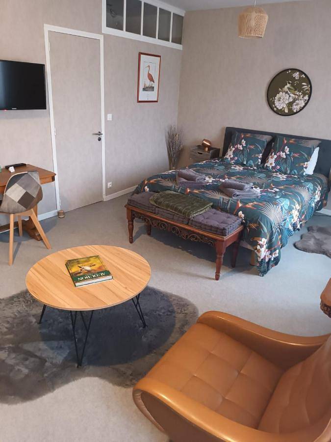 Gîte pour 3 personnes, avec jardin et jacuzzi, adapté aux familles à Martizay - 4