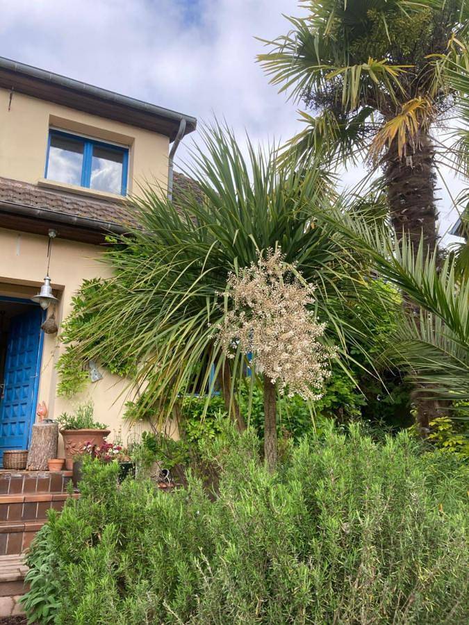 Location de vacances pour 2 personnes à Mondeville - 4