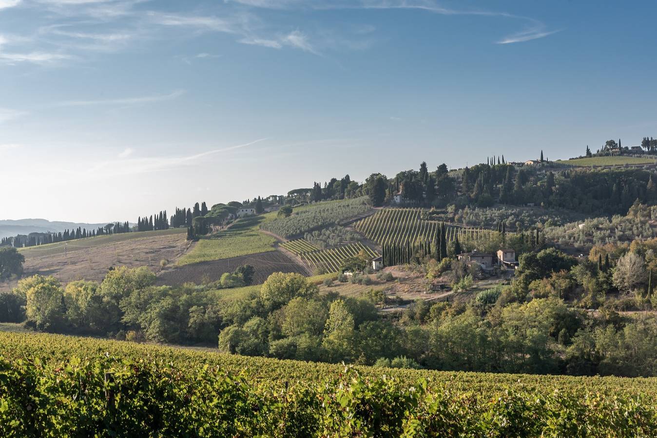 Agritourisme 'Il Pintello - La Lepre' avec piscine partagée, Wi-Fi et climatisation in Province de Florence