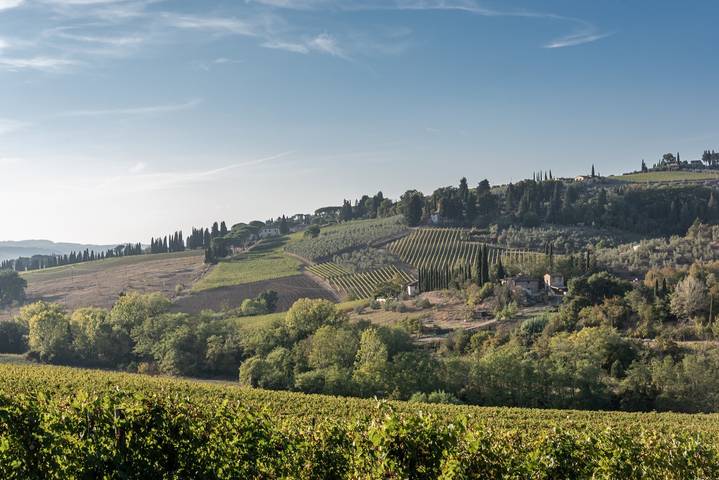 Gîte pour 2 personnes, avec jardin à San Casciano in Val di Pesa - 2