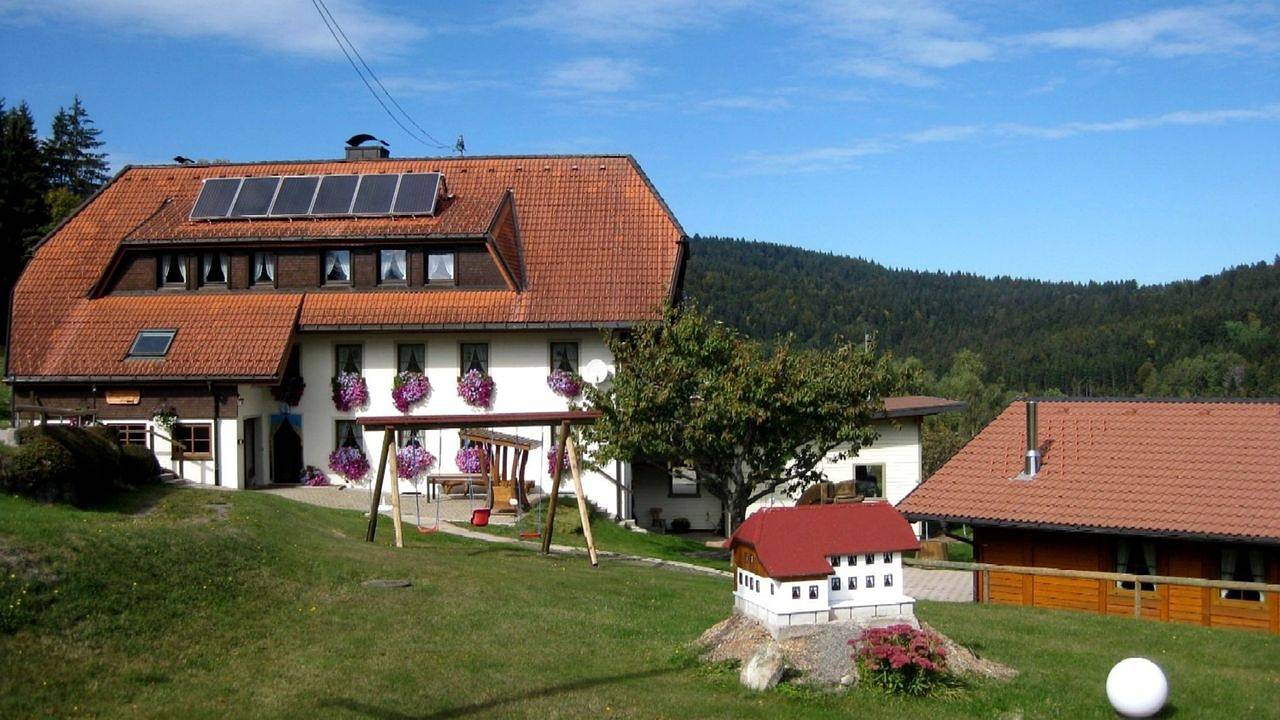 Ganze Ferienwohnung, Fewo im Dg mit 2 Dz 2 Du/Wc, 4 Pers. in Suedlicher Schwarzwald, Dachsberg