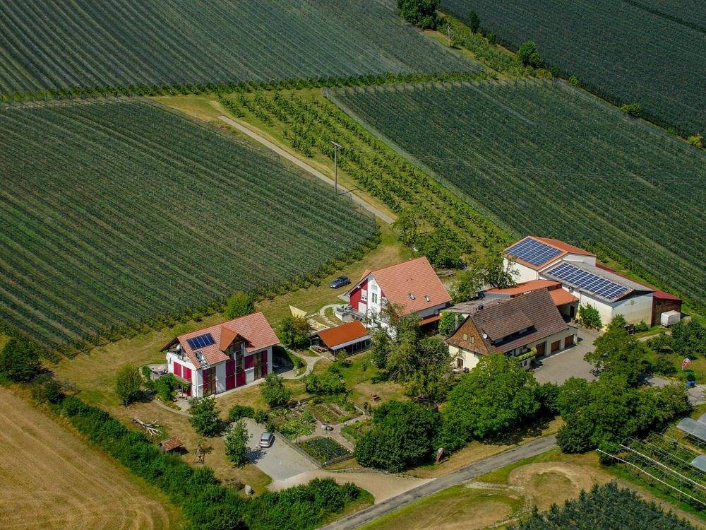 Bio-Obstgut Oberhof - Himbeere in Überlingen, Region Bodensee-Oberschwaben