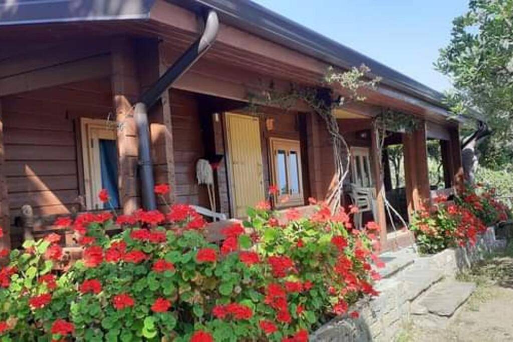 Lo Chalet di Ingrid in Cilento Coast