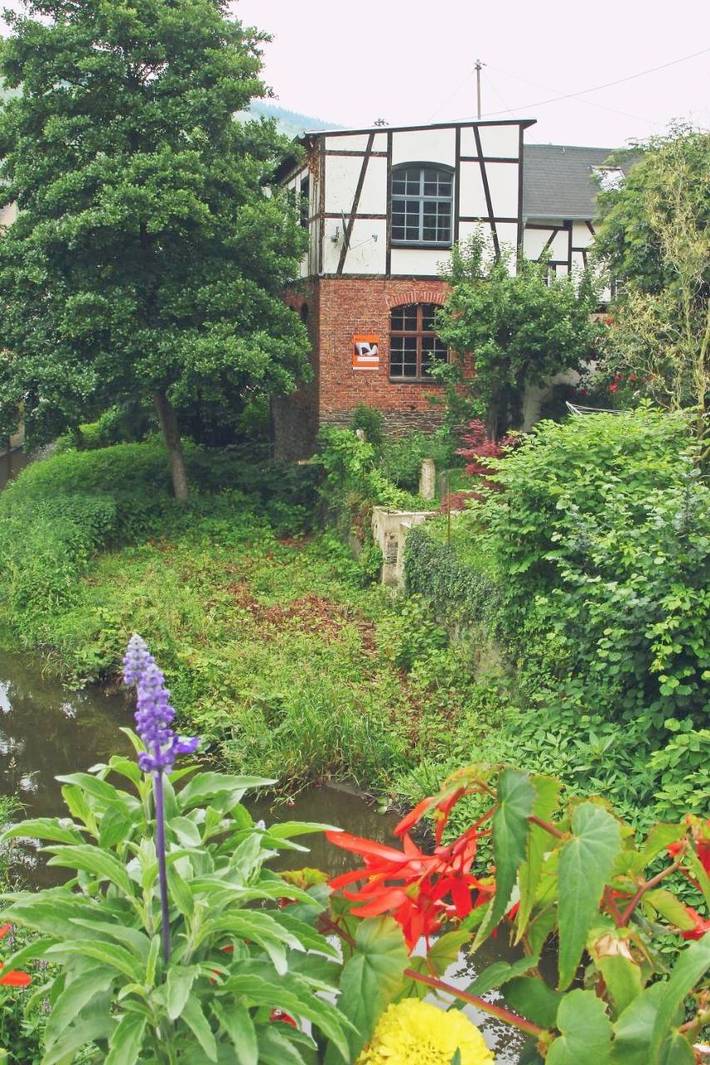 Ferienhaus für 5 Personen, mit Ausblick in Enkirch - 2