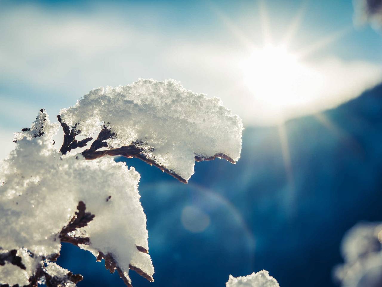 Ganze Ferienwohnung, Gränobel Chalets - Chalet N° 4 in Grän, Allgäuer Alpen (Österreich)