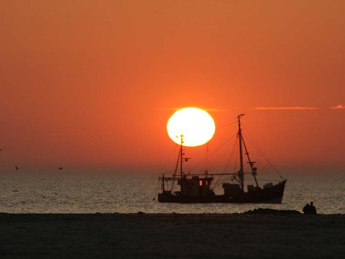 Ferienwohnung für 4 Personen, mit Terrasse und Garten in Mildstedt - 4