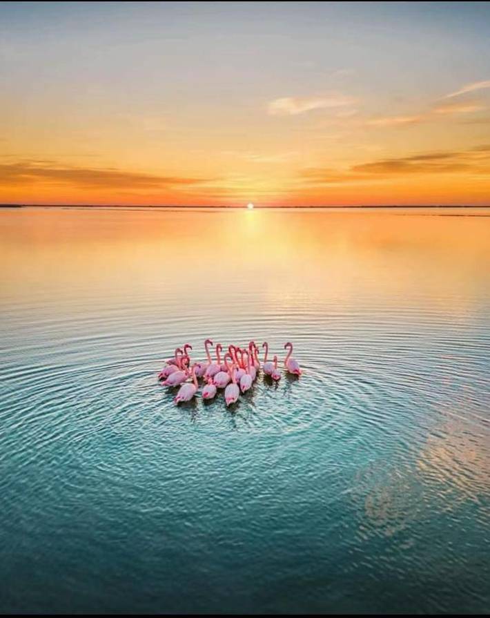 Gîte pour 3 personnes, avec jacuzzi et jardin, adapté aux familles à Mireval - 2