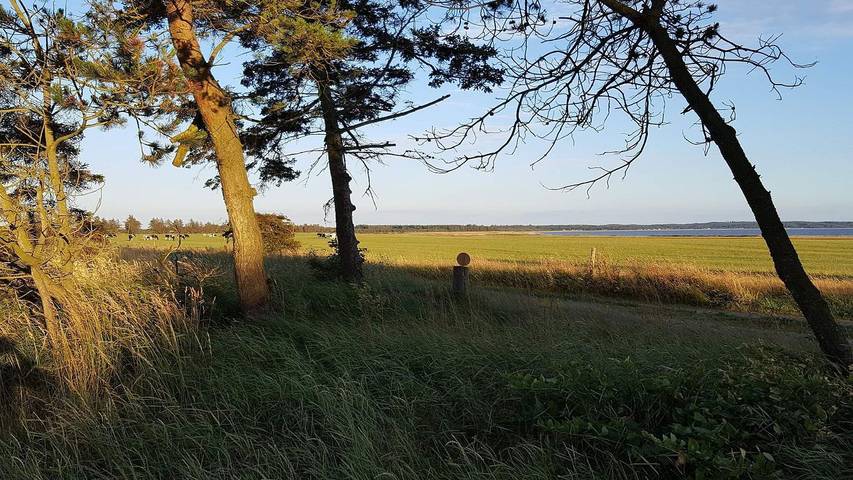 Ferienhaus für 6 Personen, mit Terrasse in Himmerland - 3