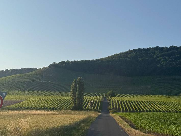 Ferienwohnung für 6 Personen in Kitzingen