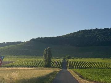 Ferienwohnung für 6 Personen in Kitzingen
