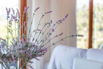 Apartment in Sóller, Serra de Tramuntana für 6 