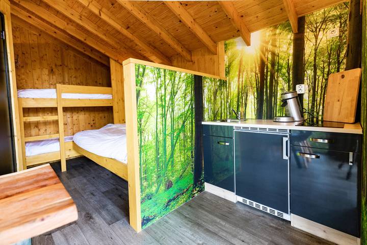 Ferienpark für 4 Personen in Drenthe - 2