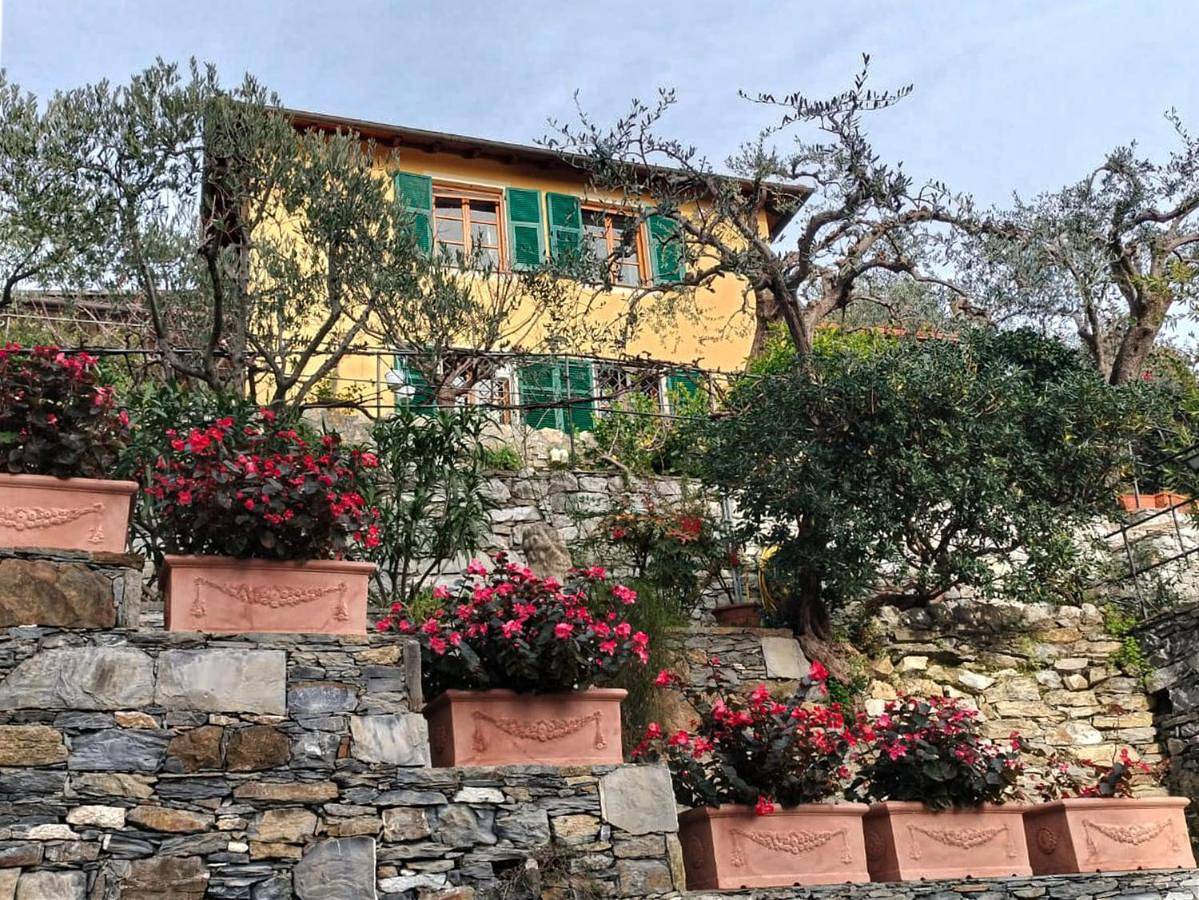 L'Alcova tra gli ulivi in Zoagli, Riviera di Levante