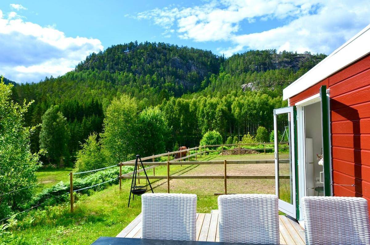 Nature cottage on wooded valley in Bø