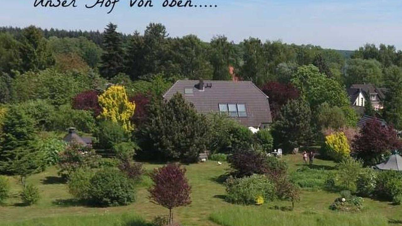 Ganze Ferienwohnung, Ferienwohnung für 3 Personen (70 m²) in Wustrow in Tollensesee, Penzlin