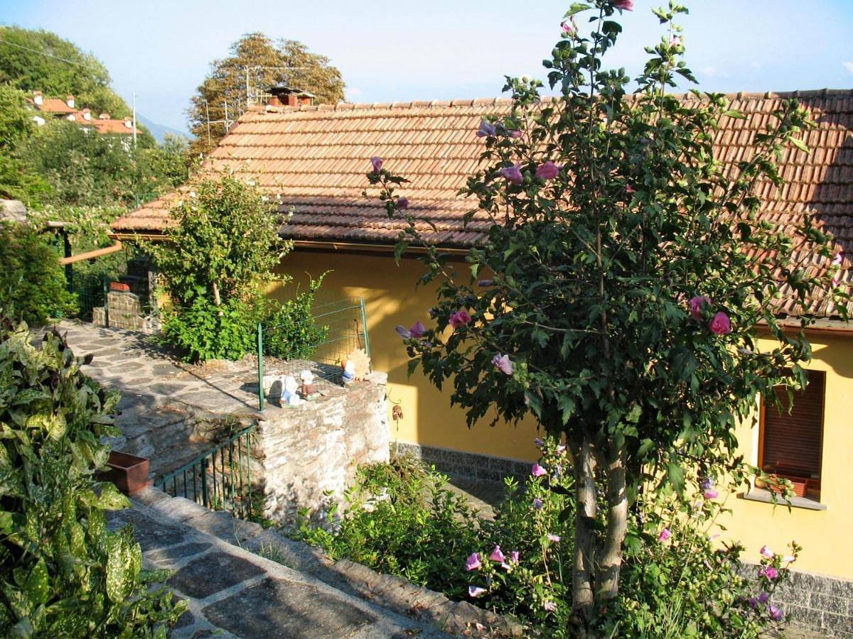 Holiday Home Monte Tabor by Interhome in Viggiona, Trarego Viggiona