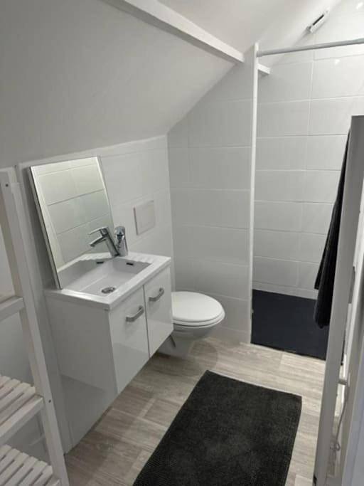 Appartement entier, One-Bedroom Apartment in Lillebonne, Région du Havre