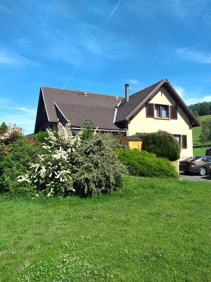 Maison de charme Haslach 300m2 Grand séjour 15 personnes - Belles vues ! in Munster, Parc naturel régional des Ballons des Vosges