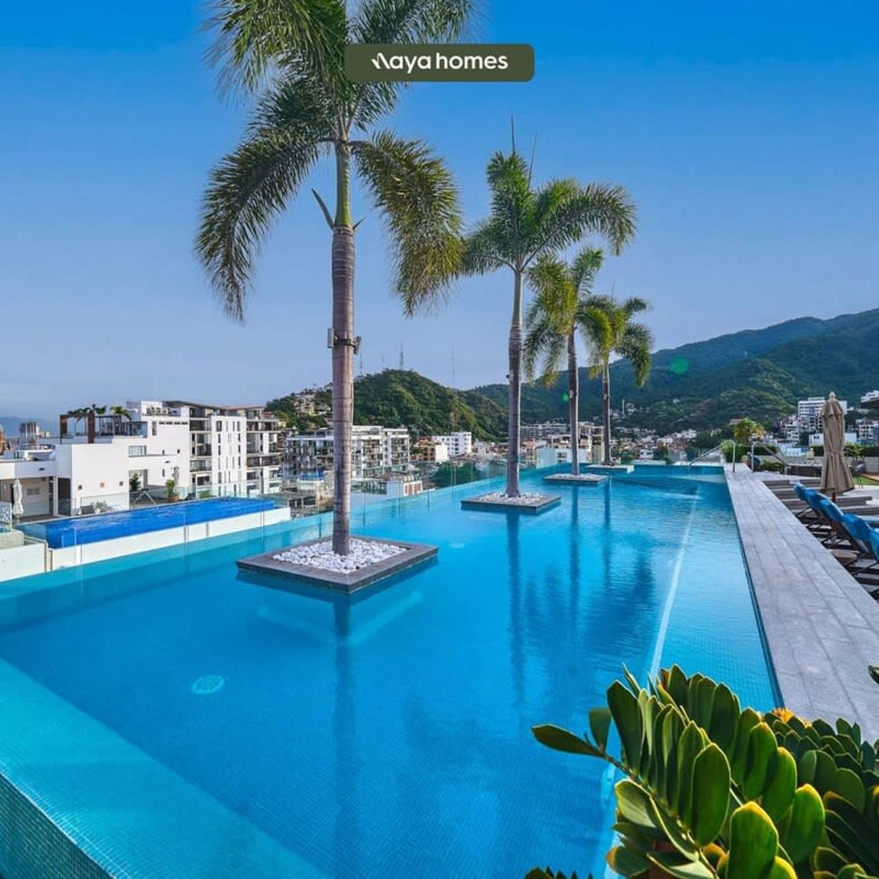Entire apartment, Lovely 1Br Condo in Zona Romantica - Pool - Gym in Puerto Vallarta, Costalegre