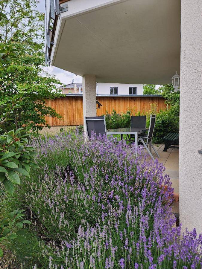 Ganze Wohnung, One-Bedroom Apartment in Hilzingen, Hegau