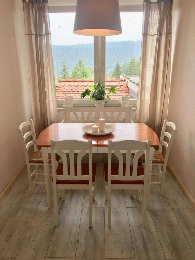 Ferienwohnung für 10 Personen, mit Terrasse und Garten sowie Ausblick in Schulenberg im Oberharz - 2