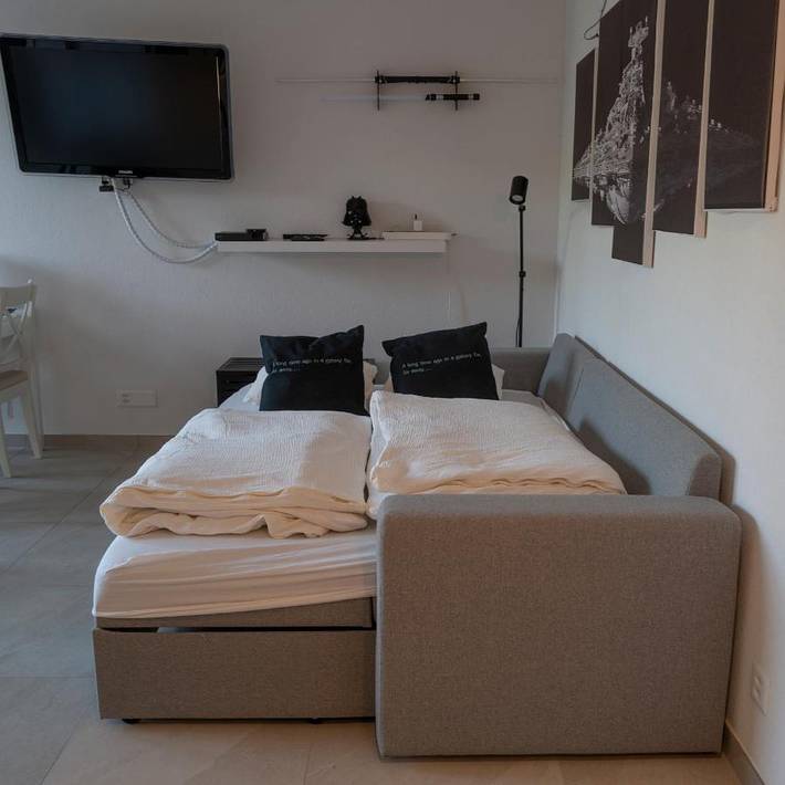 Location de vacances pour 4 personnes, avec terrasse et vue, animaux acceptés à Châtel-Saint-Denis - 3