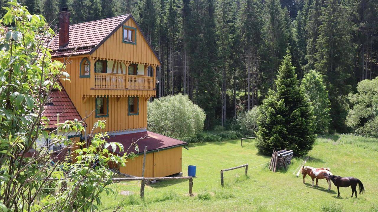 Ganze Wohnung, Haus Heimburg in Rötenbach (Friedenweiler), Friedenweiler