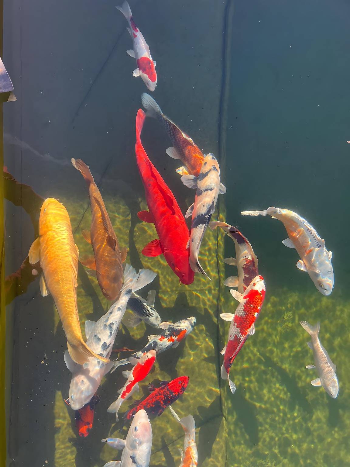 Maison de Vacances 'Gîte Du Poisson Rouge' avec Terrasse Privée et grand terrain in Molamboz, Jura