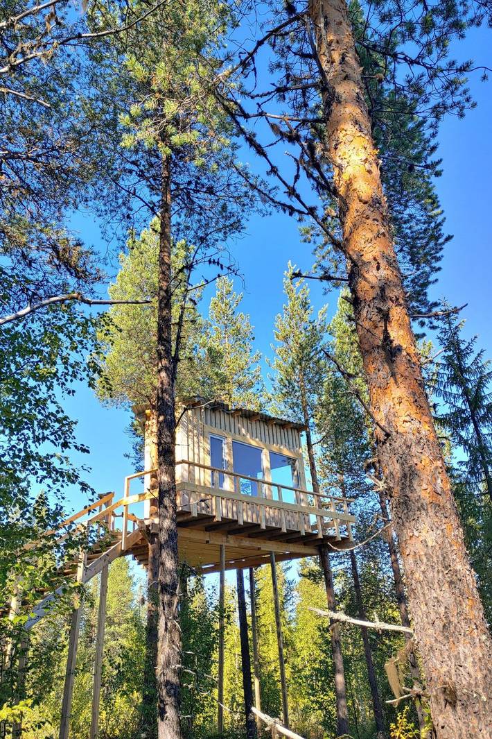 Ganze Wohnung, Aurora Lodge in Lappland (Schweden)