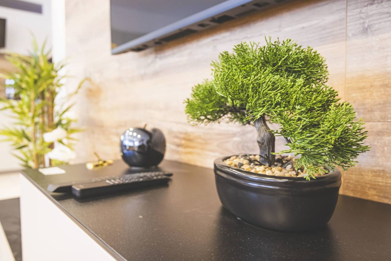 Entire apartment, Mas Lac Blanc | Terrace | Sauna | Parking in Orbey, Parc naturel régional des Ballons des Vosges