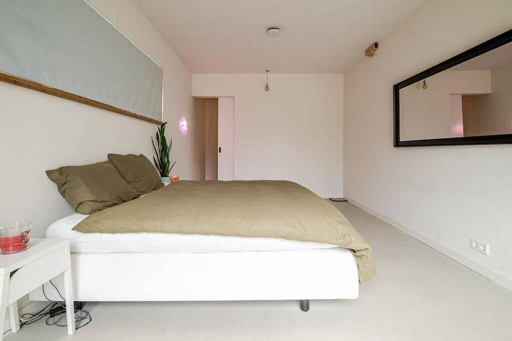 Spacious house with garden and free parking near Gouda center in Gouda, Groene Hart