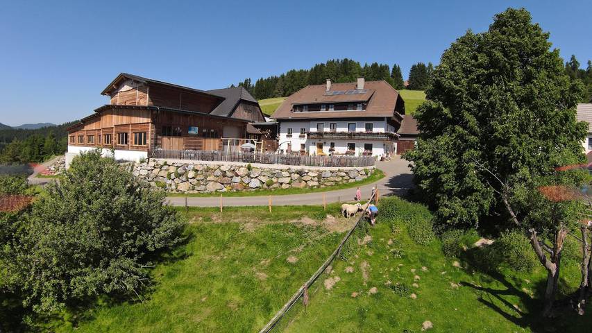 Ferienwohnung für 4 Personen, mit Ausblick und Garten sowie Sauna in St. Lambrecht - 2
