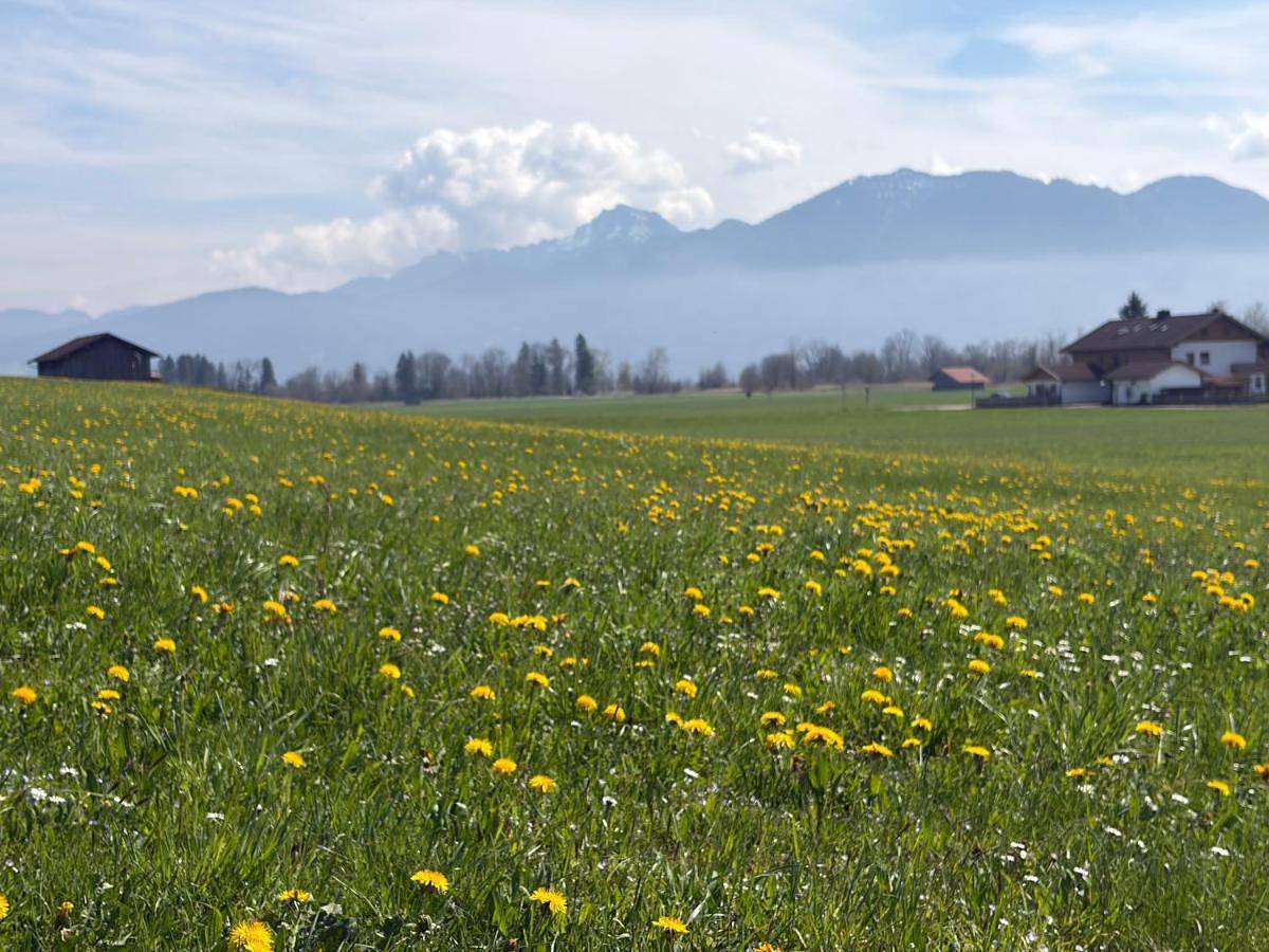 Cały apartament, Studio mit Alpenblick und privaten Terrasse in Großweil, Alpy Bawarskie