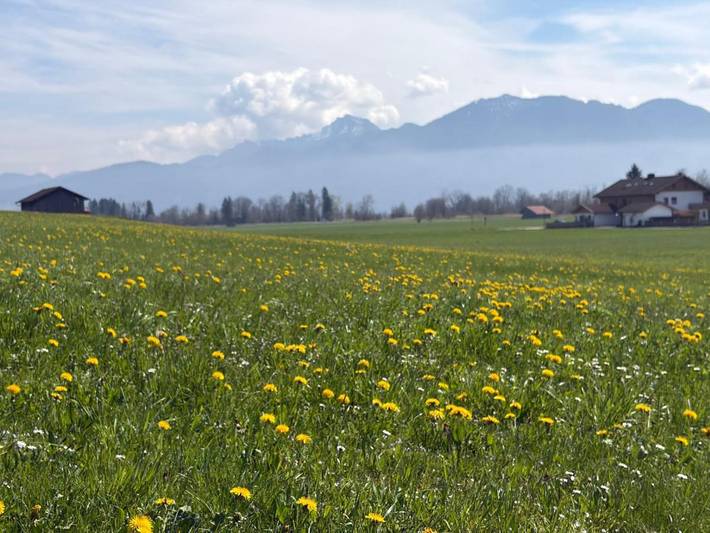 Ferienwohnung für 2 Personen, mit Garten und Ausblick in Ohlstadt - 3