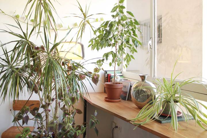 Gîte pour 2 personnes, adapté aux familles à Paris - 4