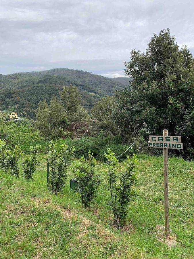 Ganze Wohnung, Quiet and Cozy home with Wi-Fi Casa Prearino in Vernazza, Vernazza Gemeinde
