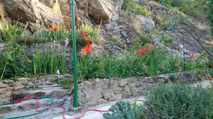 Holiday Rental for 5 People in Bourg-Argental, Pilat Regional Nature Park, Photo 3