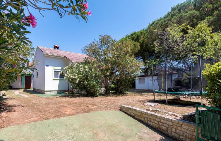 Ferienhaus für 4 Personen, mit Terrasse, mit Haustier - 1