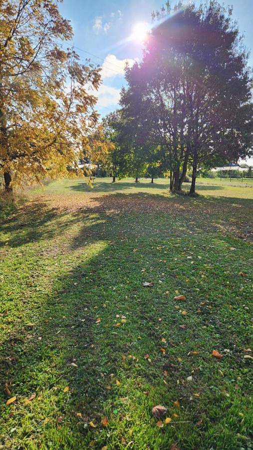 Location de vacances pour 6 personnes, avec terrasse ainsi que jardin et vue à Parçay-les-Pins - 2