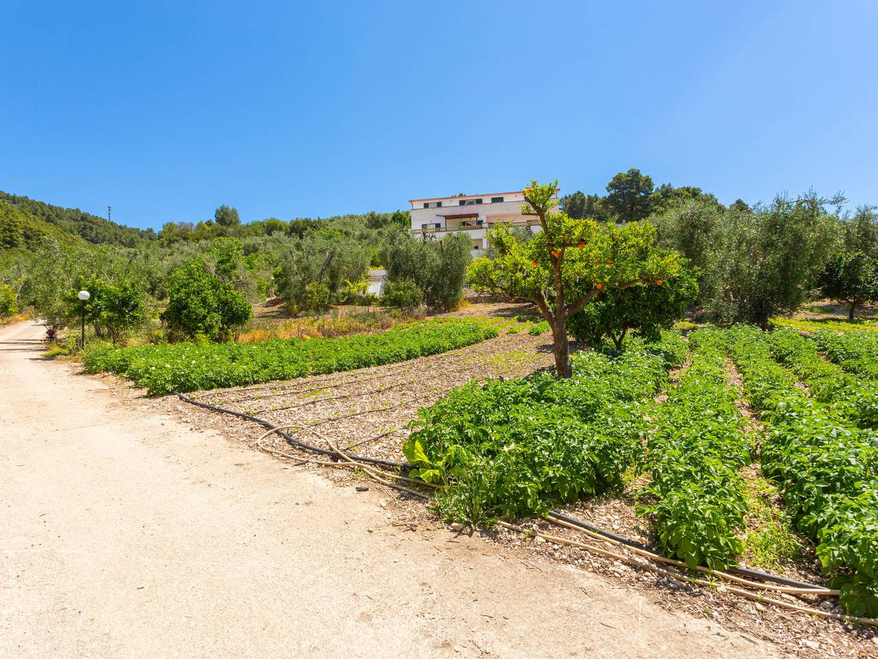 Cały apartament, Villa Tavaglione in Peschici region, Gargano