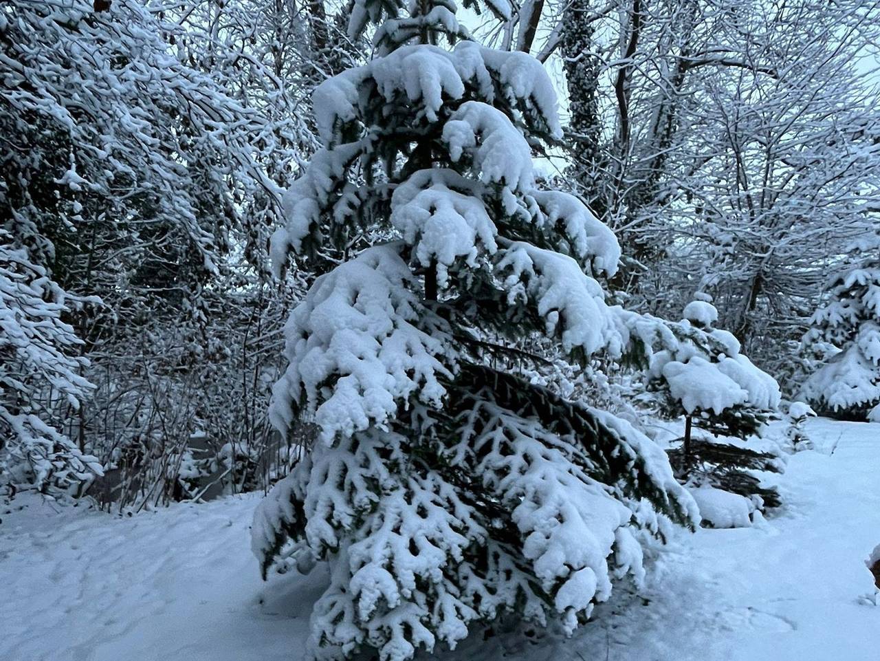 Ganze Ferienwohnung, Schatzkiste H in Hooksiel, Wangerland