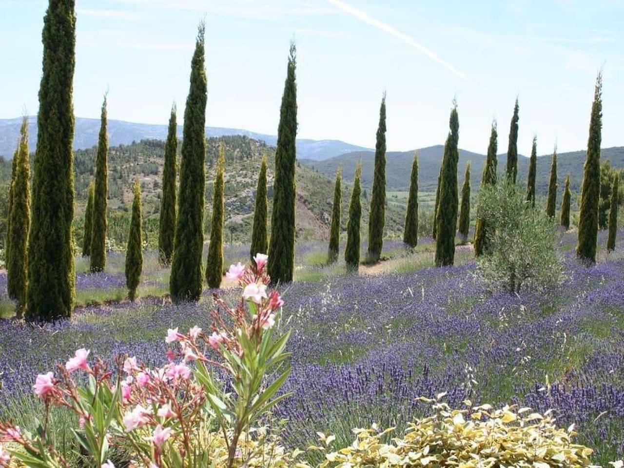 La bergerie Marcel in Durban-Corbières, Côte méditerranéenne (France)