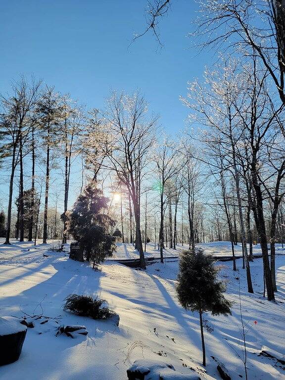 Log Cabin 11 with Hot Tub at Osborn Boat Ramp on Patoka Lake in Patoka Lake