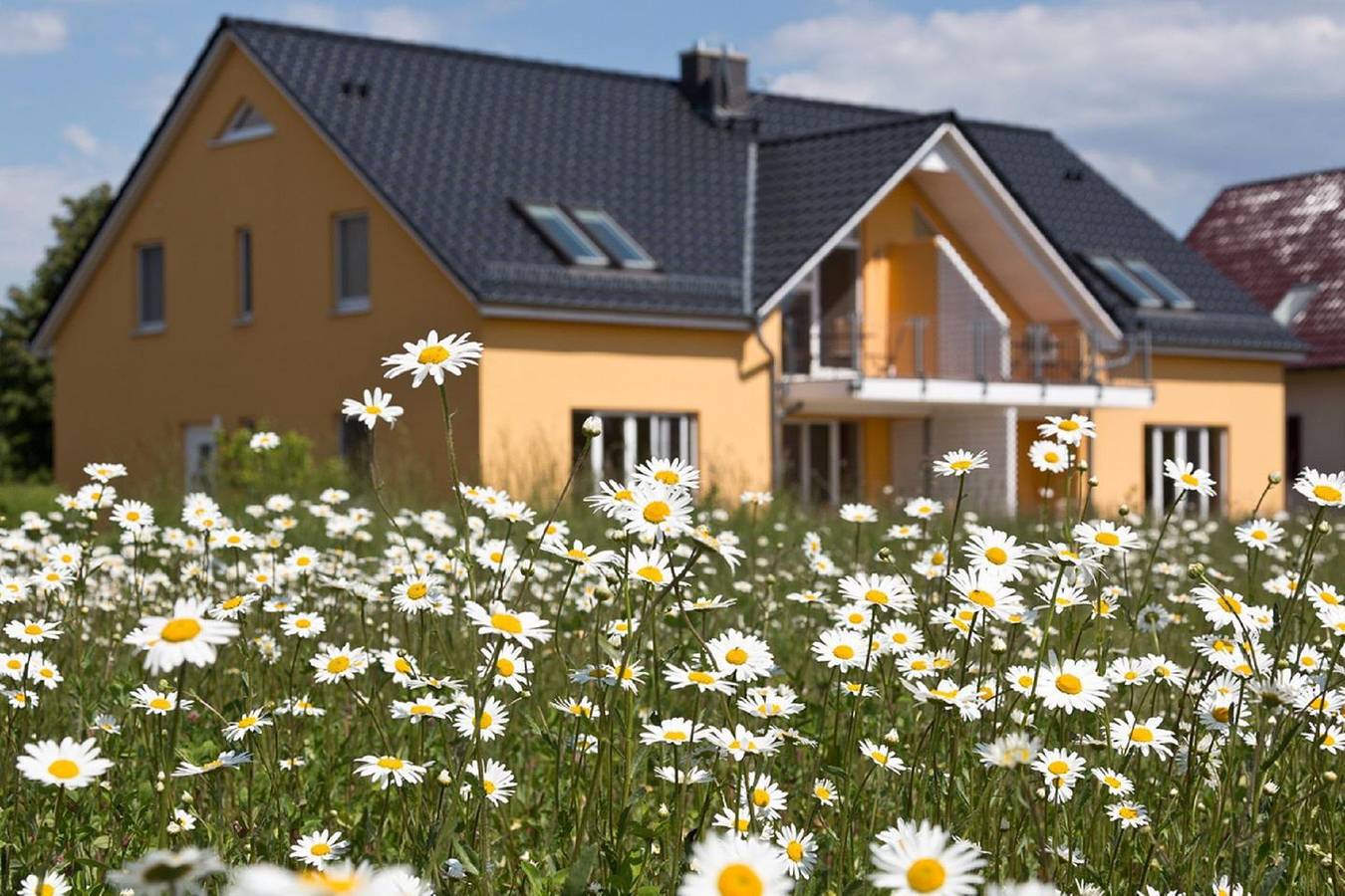 Appartamento vacanze a Fleesensee a partire da 101€ a notte