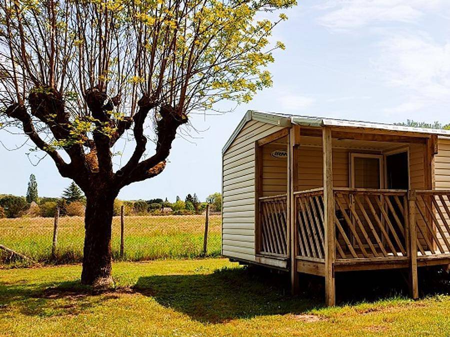 Flower Camping Les Berges de la Dordogne - Mobilheim 4 personen - Mobilheim Confort 25m² Loggia - 2 Zimmer + Überdachte Terrasse 4 Pers. in Trémolat, Périgord Pourpre