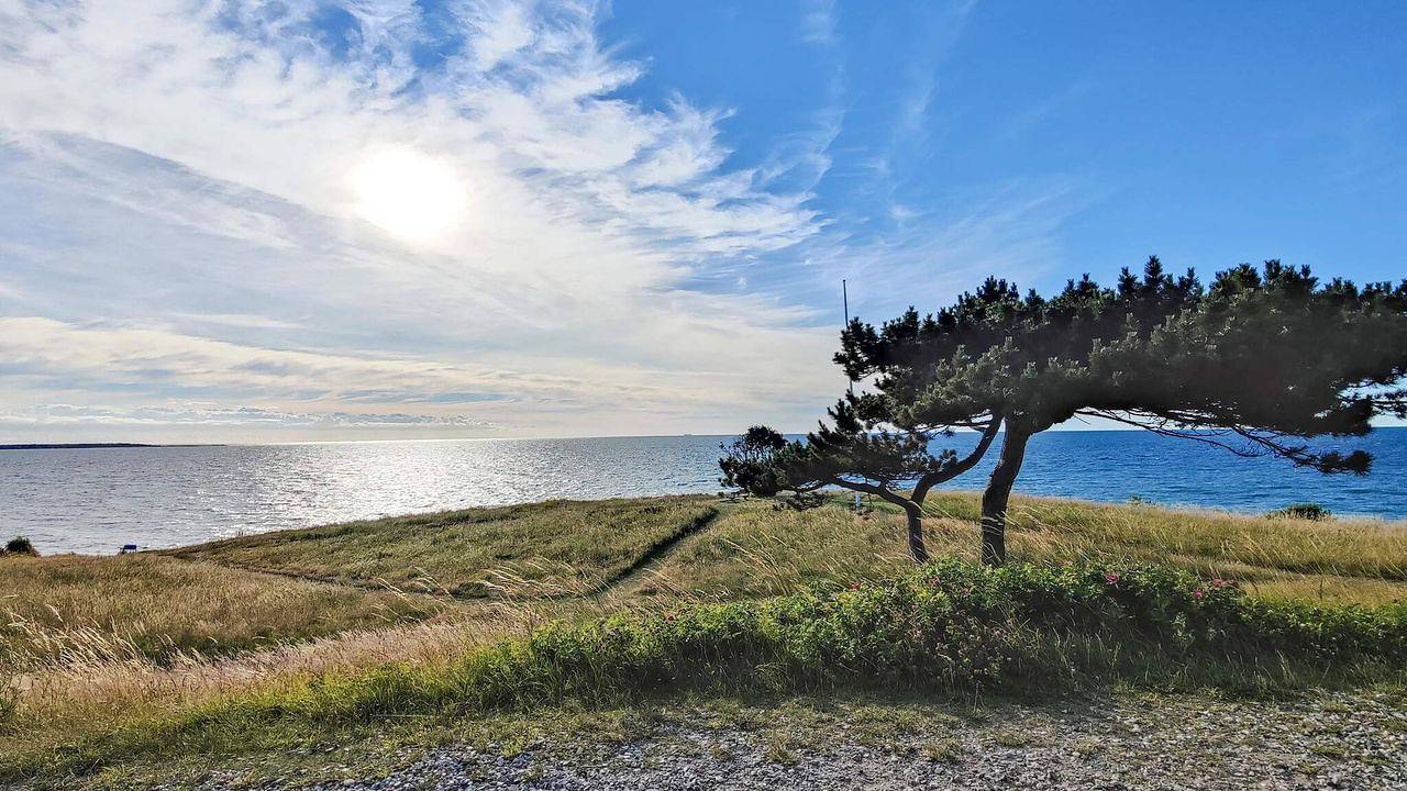 Ferienhaus für 8 Personen (131 m²) in Hundested in Hundested, Kattegat Küste