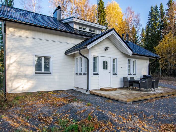 Hovimäki in Jämsä, Mittelfinnland